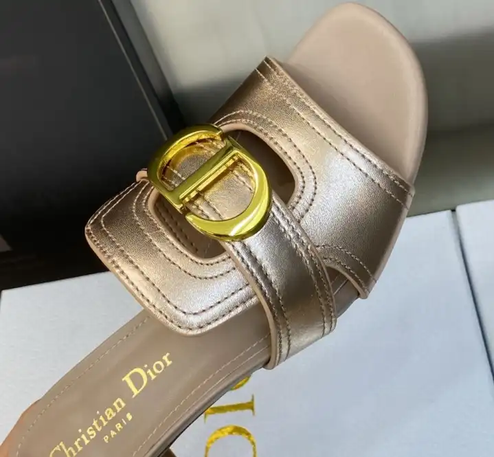 hype Christian Dior Slippers