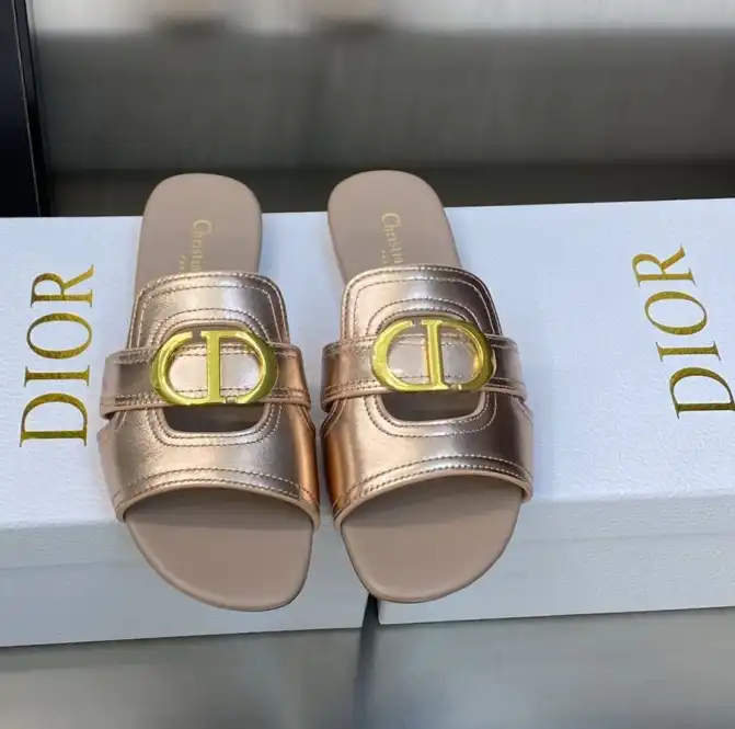 hype Christian Dior Slippers