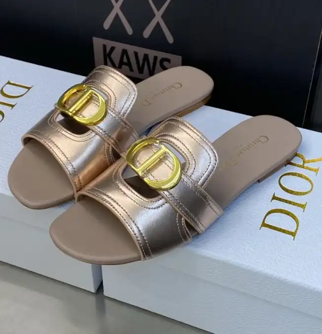 hype Christian Dior Slippers