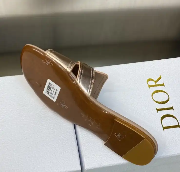 hype Christian Dior Slippers