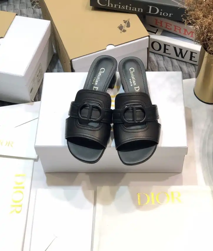 hype Christian Dior Slippers