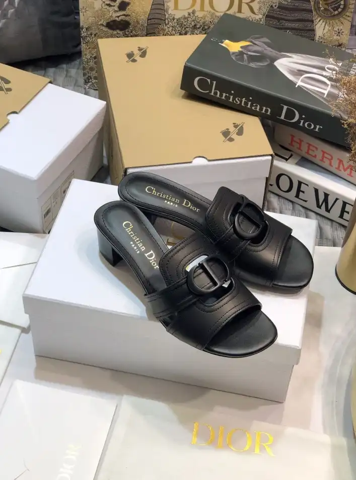 hype Christian Dior Slippers