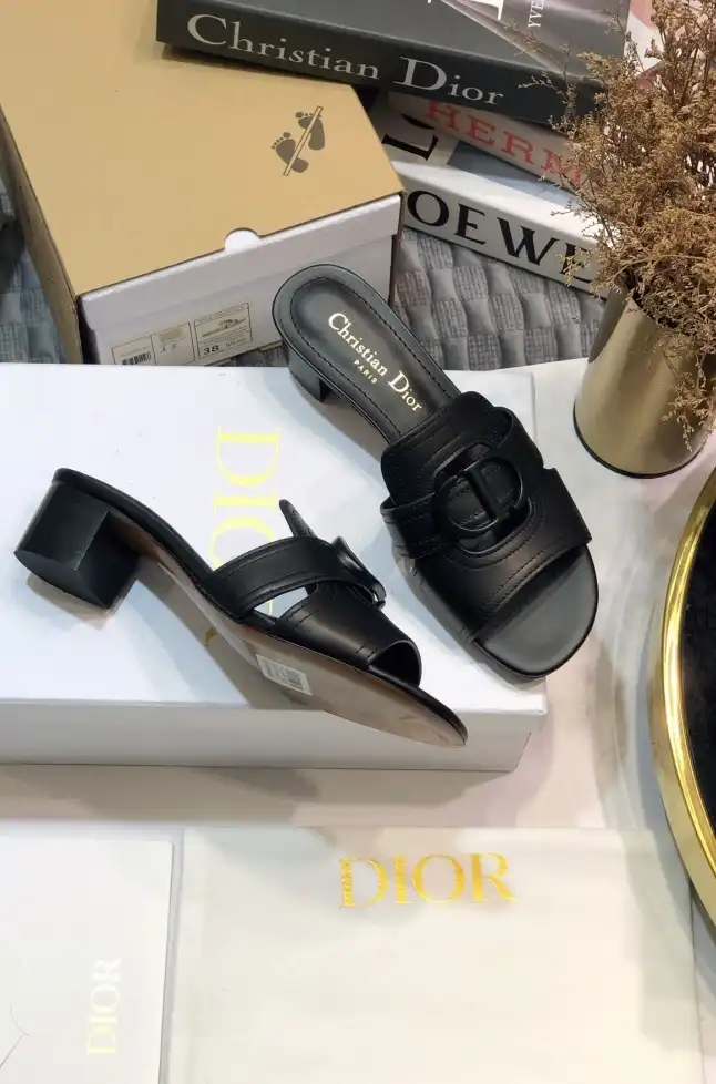 hype Christian Dior Slippers