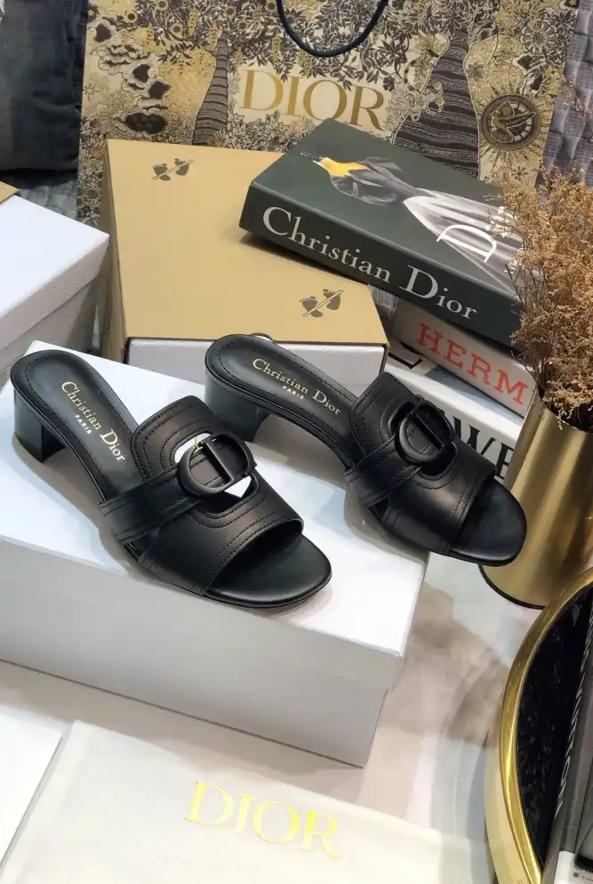 hype Christian Dior Slippers