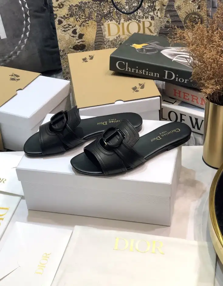 hype Christian Dior Slippers