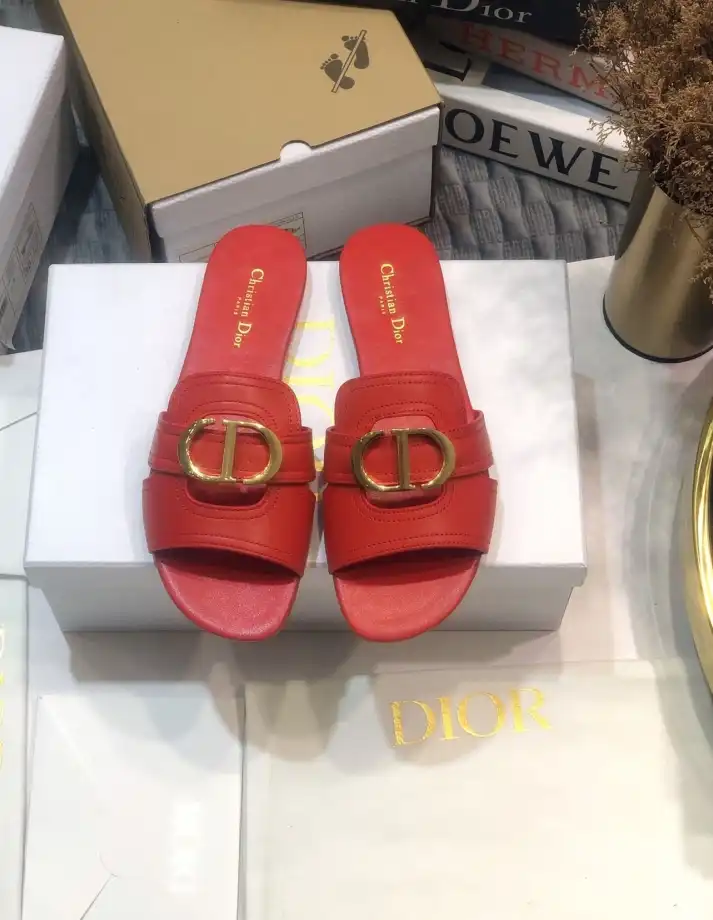 hype Christian Dior Slippers