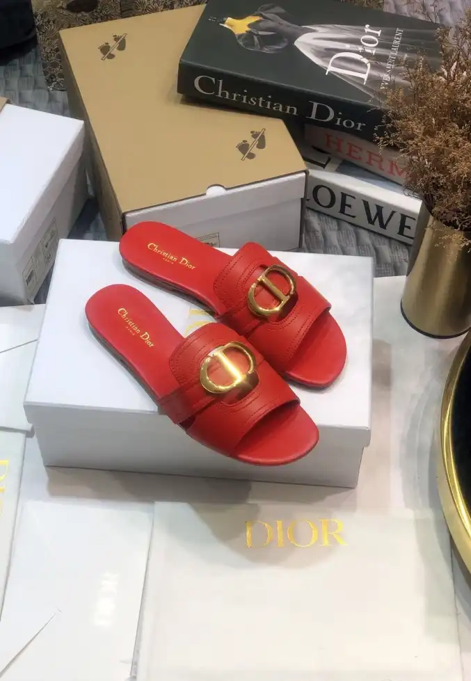 hype Christian Dior Slippers