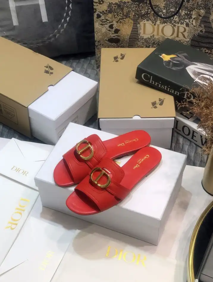 hype Christian Dior Slippers