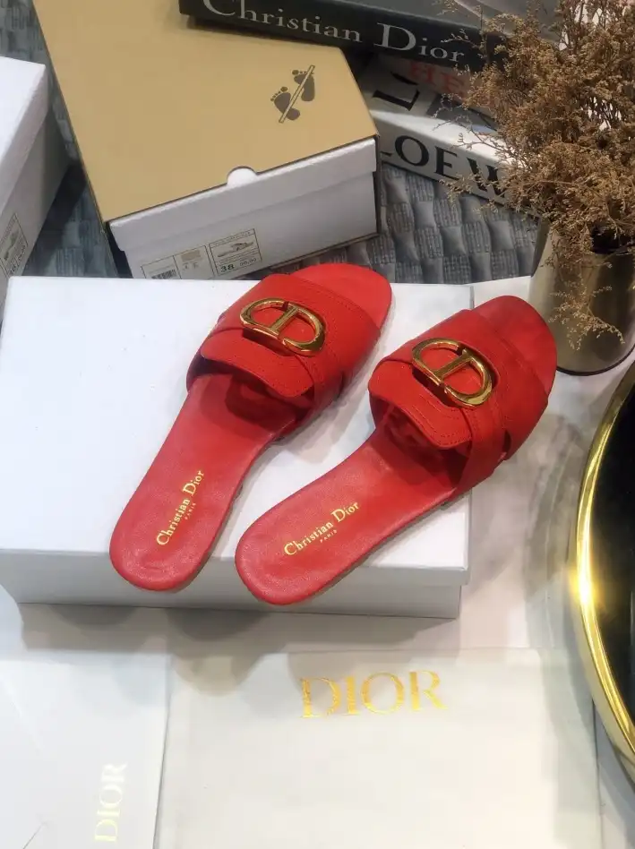 hype Christian Dior Slippers