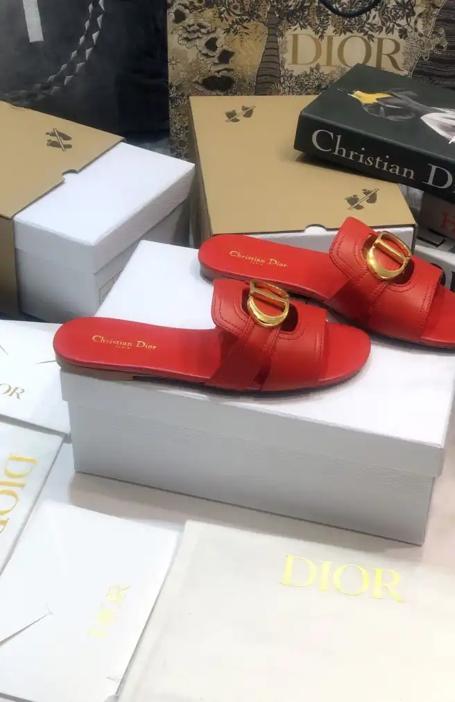 hype Christian Dior Slippers