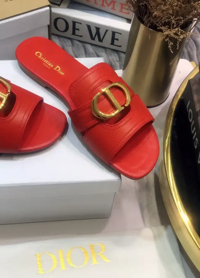 hype Christian Dior Slippers