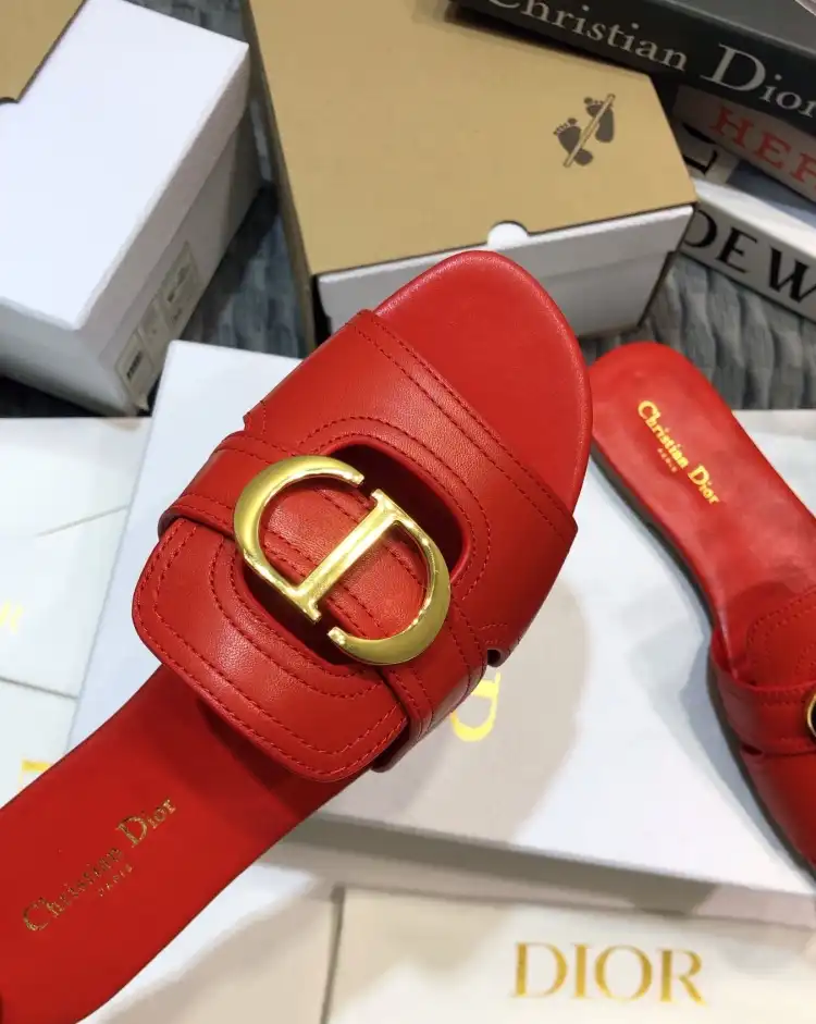 hype Christian Dior Slippers