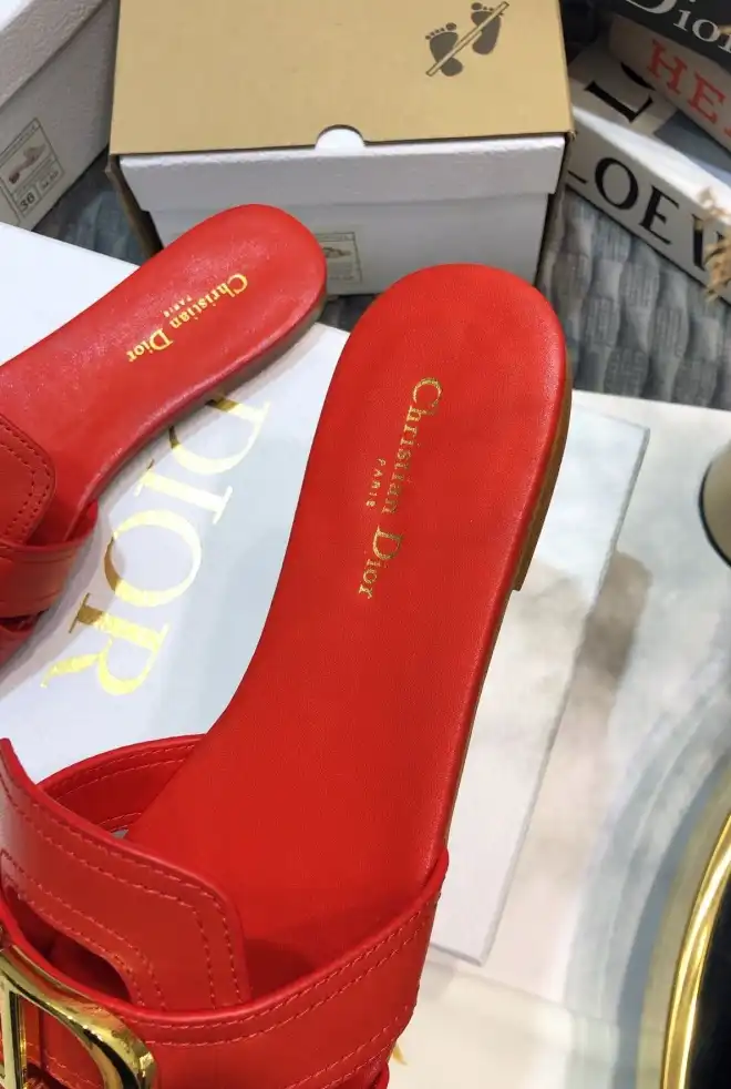 hype Christian Dior Slippers