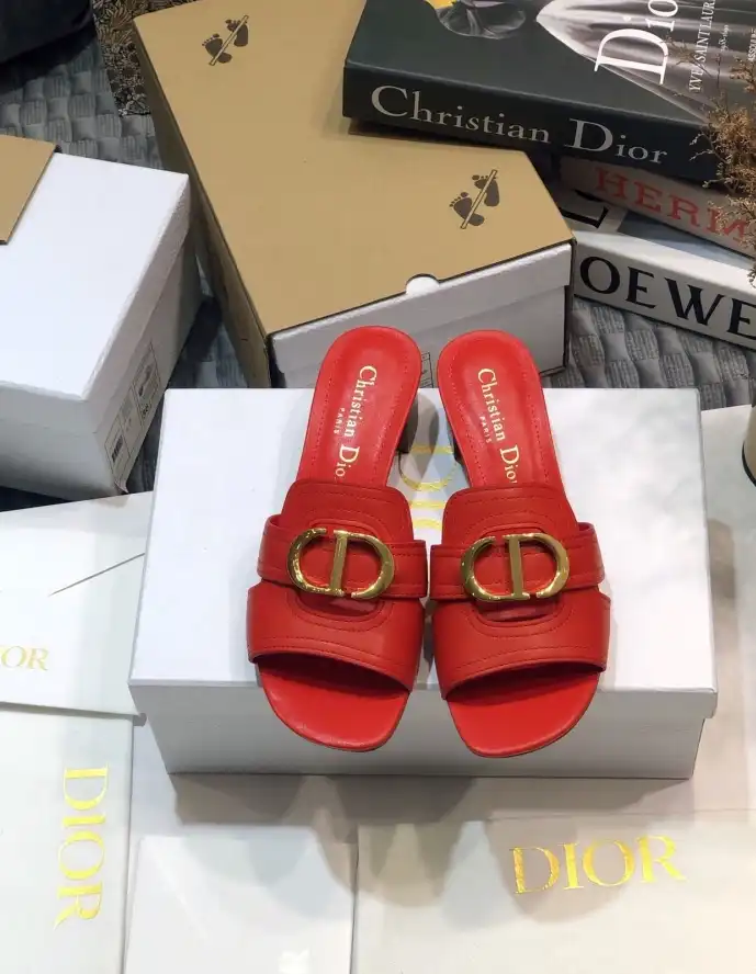 hype Christian Dior Slippers