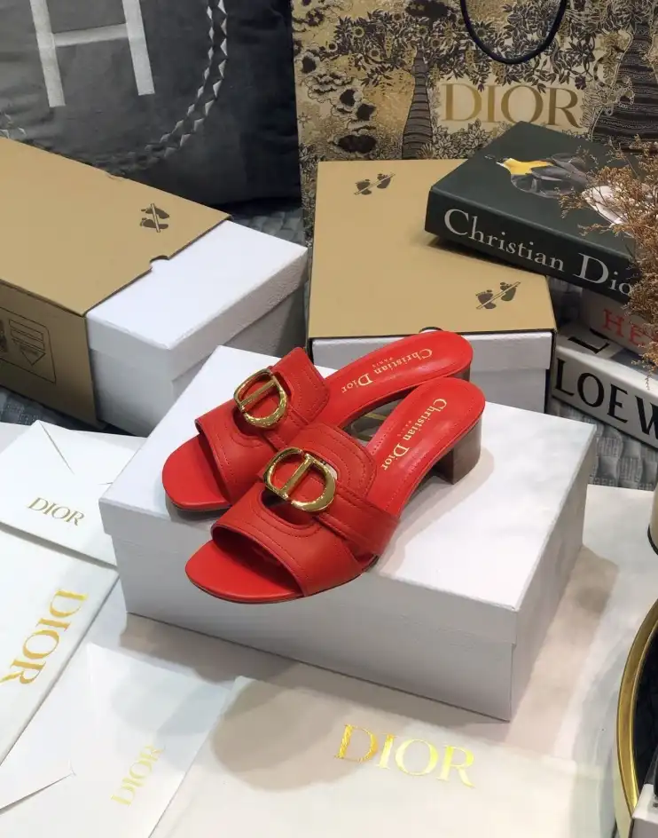 hype Christian Dior Slippers