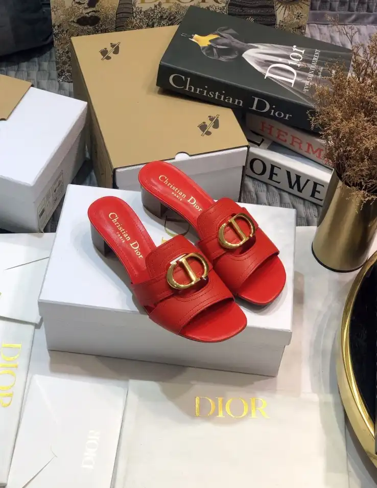 hype Christian Dior Slippers