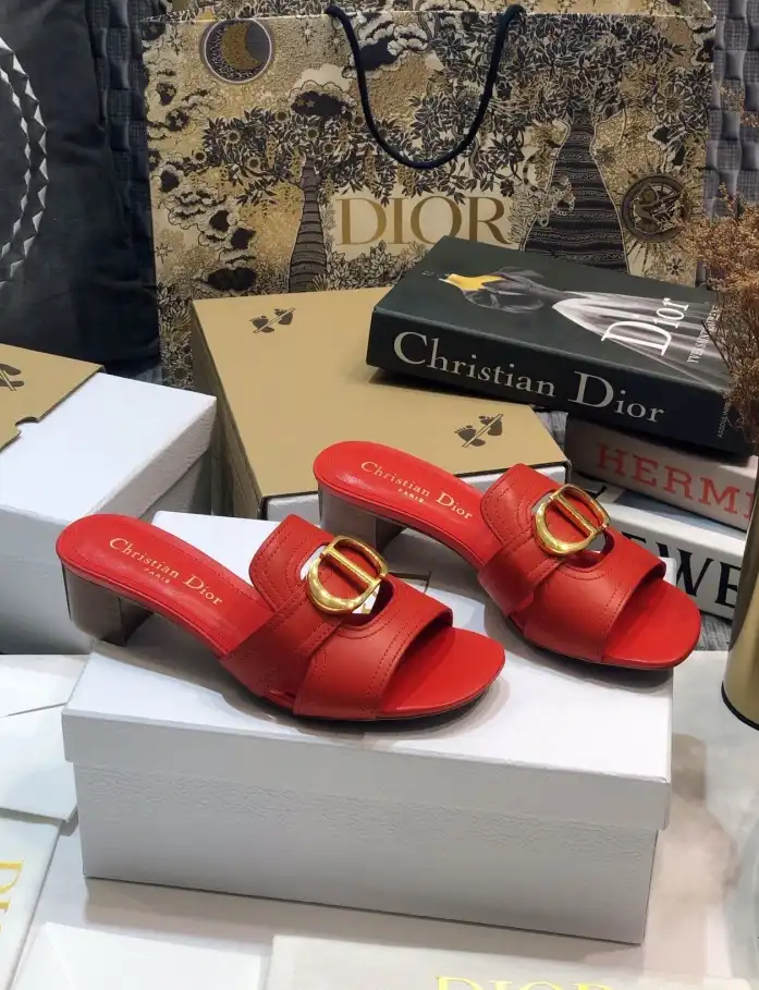 hype Christian Dior Slippers