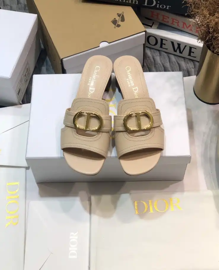 hype Christian Dior Slippers