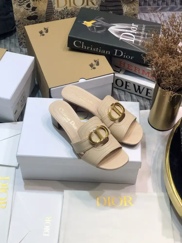 hype Christian Dior Slippers