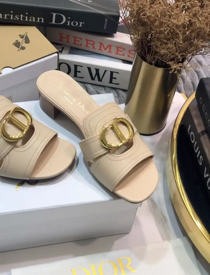 hype Christian Dior Slippers