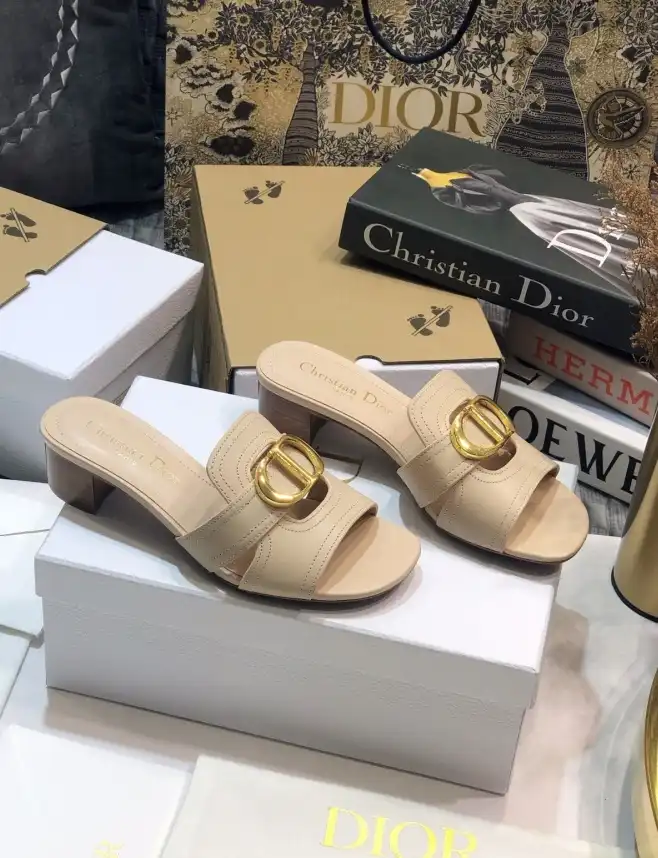 hype Christian Dior Slippers