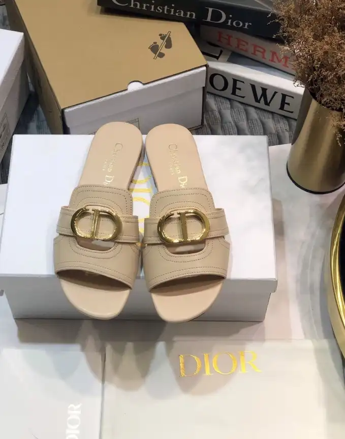 hype Christian Dior Slippers