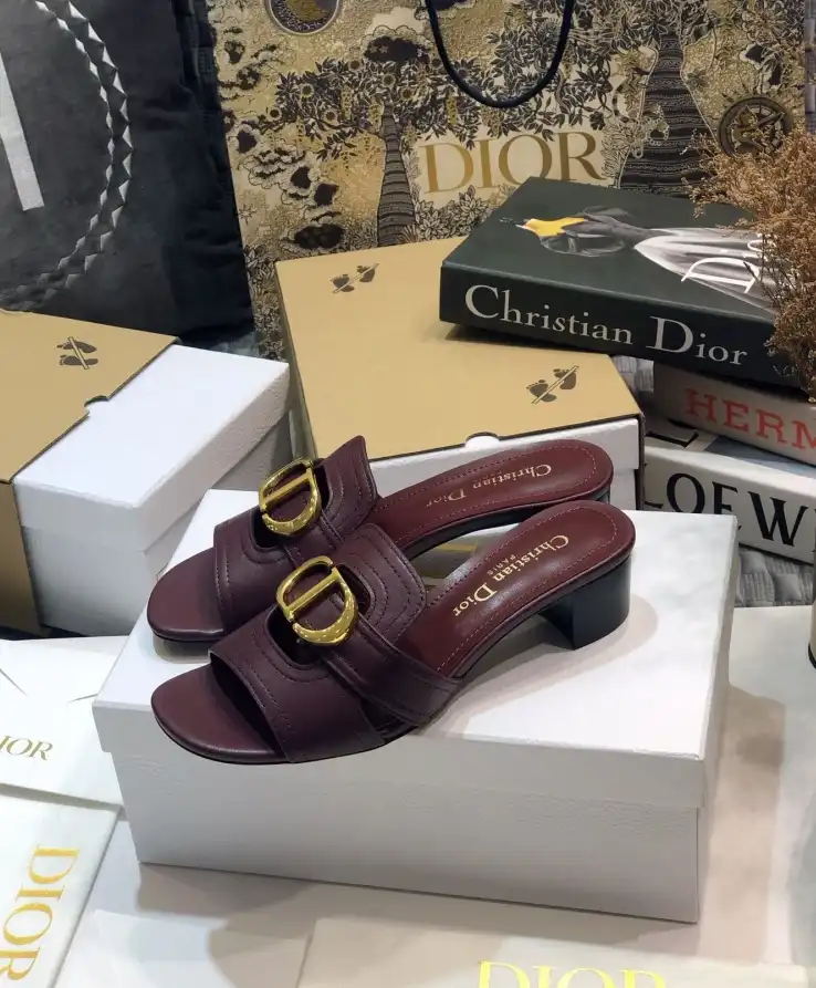 hype Christian Dior Slippers