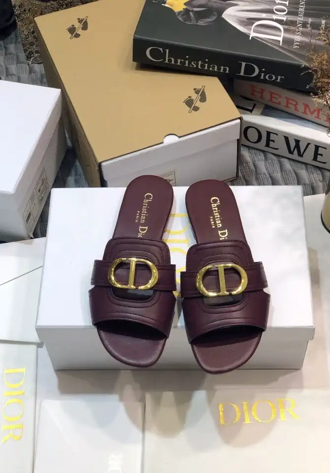 hype Christian Dior Slippers