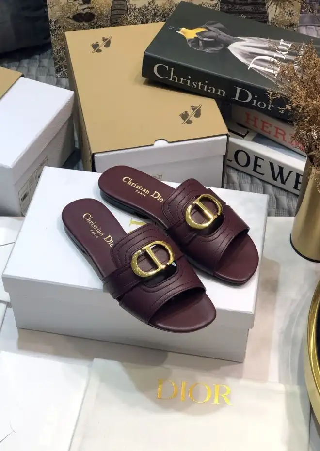 hype Christian Dior Slippers