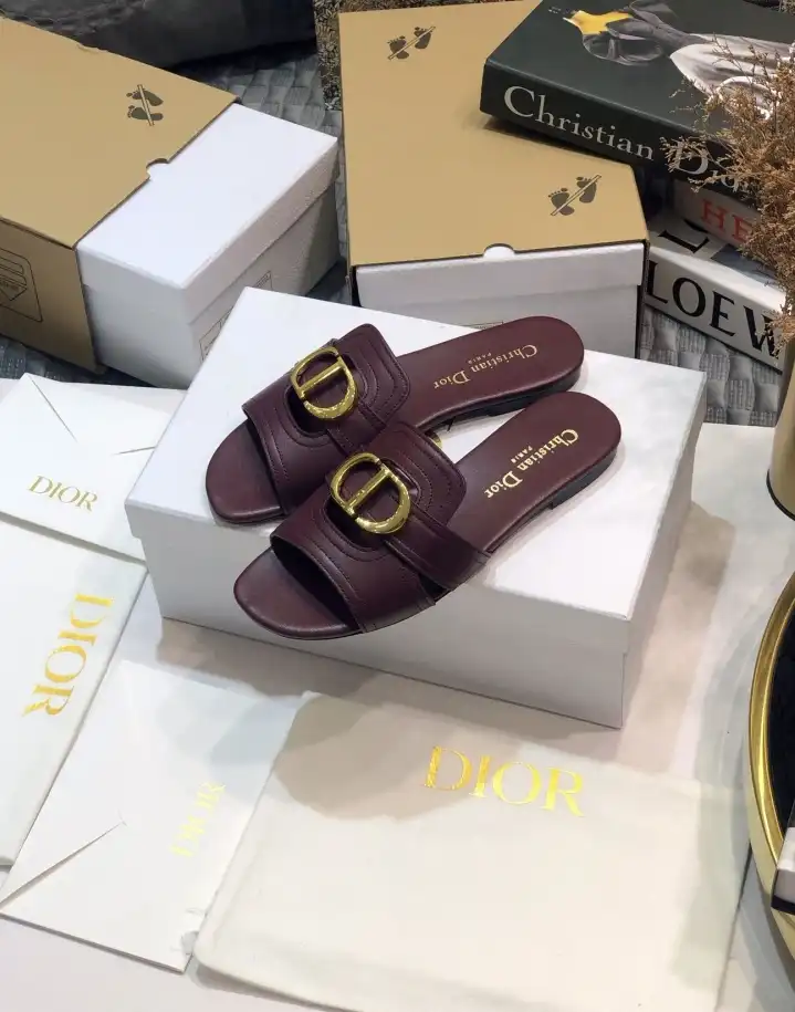 hype Christian Dior Slippers