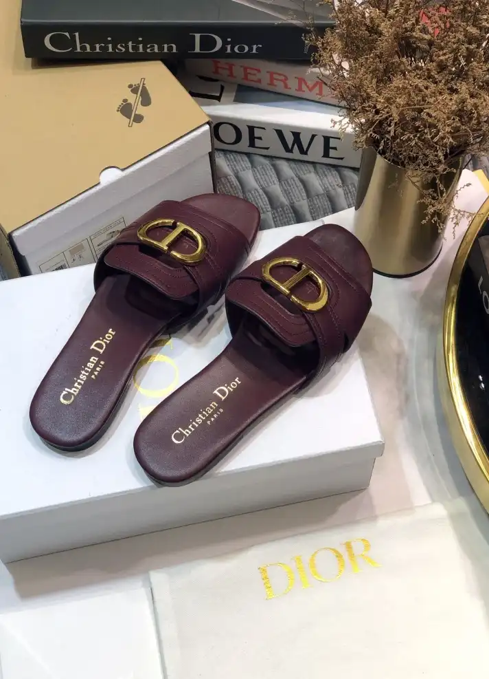 hype Christian Dior Slippers