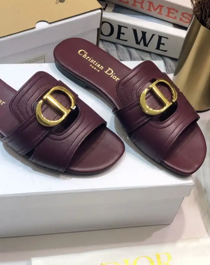 hype Christian Dior Slippers