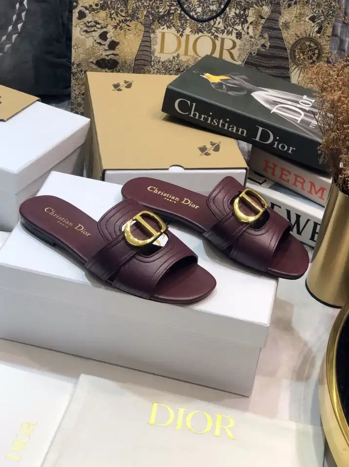 hype Christian Dior Slippers