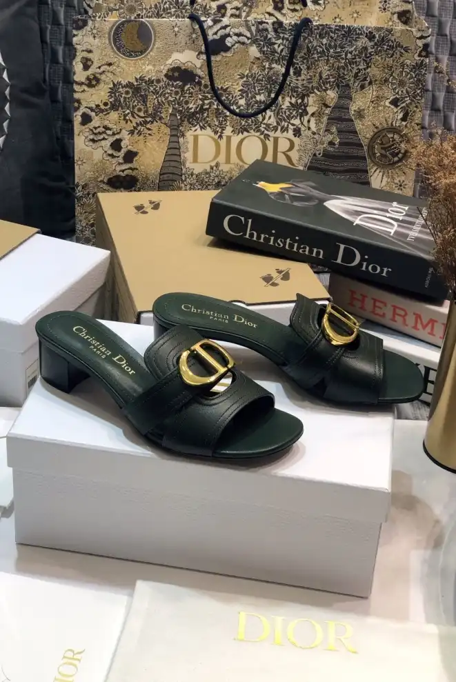 hype Christian Dior Slippers