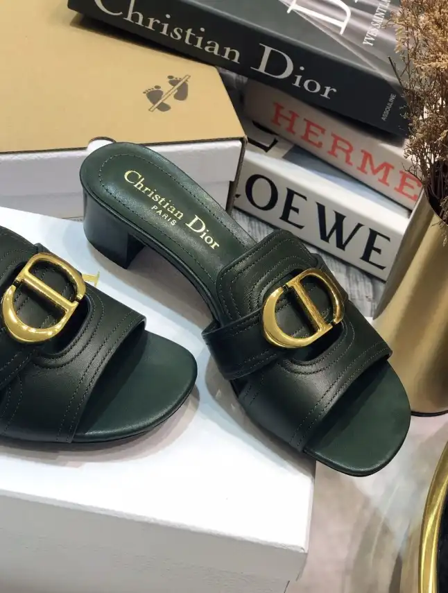 hype Christian Dior Slippers