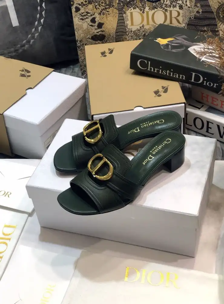 hype Christian Dior Slippers