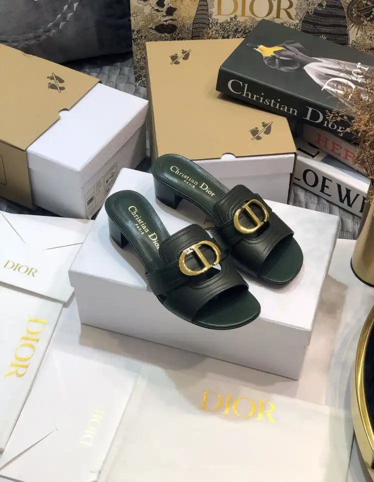 hype Christian Dior Slippers