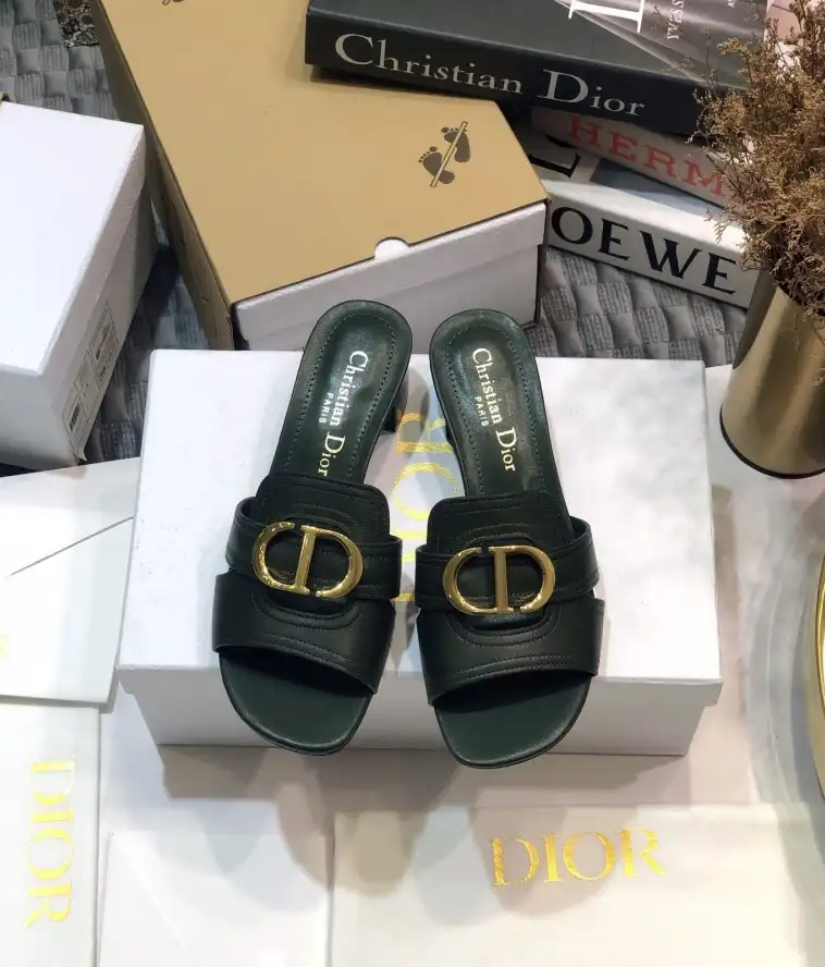 hype Christian Dior Slippers