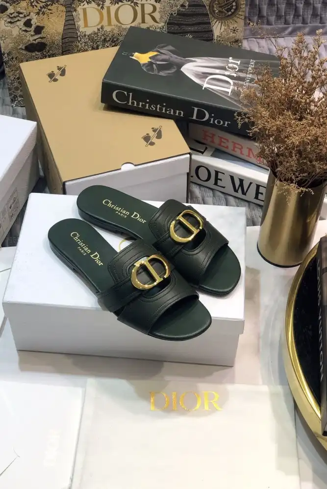 hype Christian Dior Slippers