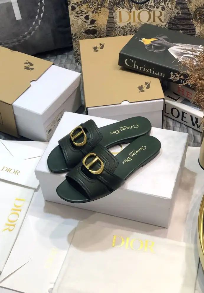 hype Christian Dior Slippers