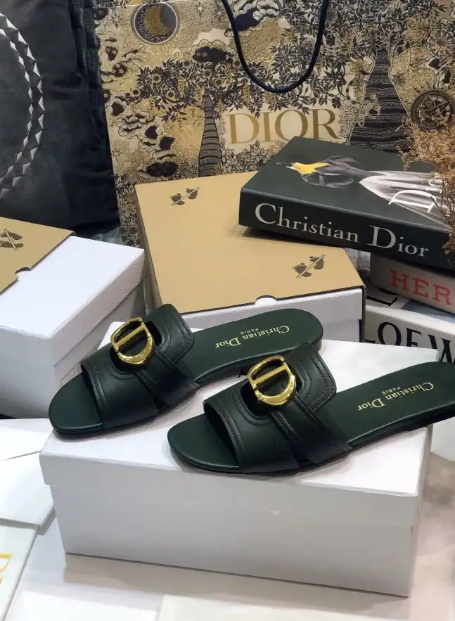 hype Christian Dior Slippers