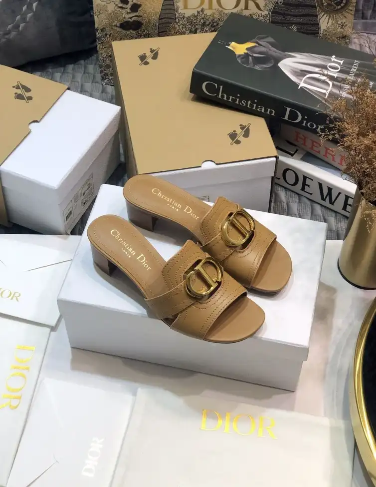 hype Christian Dior Slippers