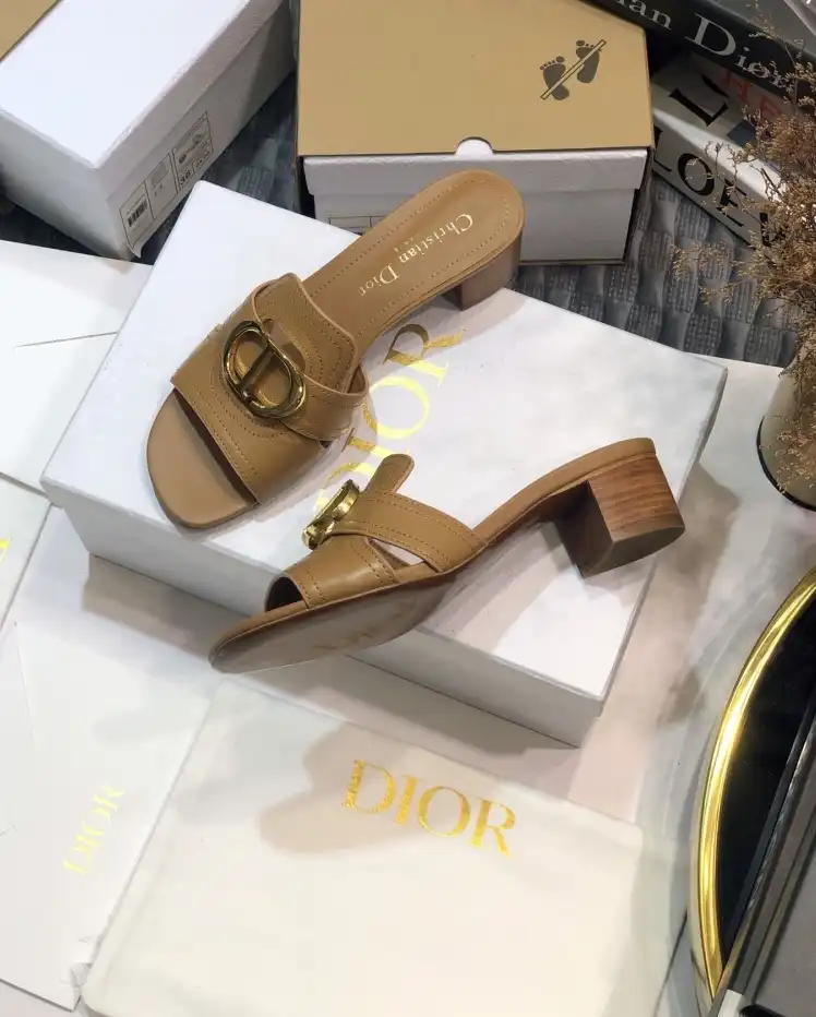 hype Christian Dior Slippers