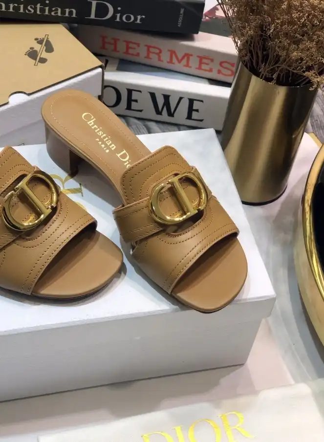 hype Christian Dior Slippers