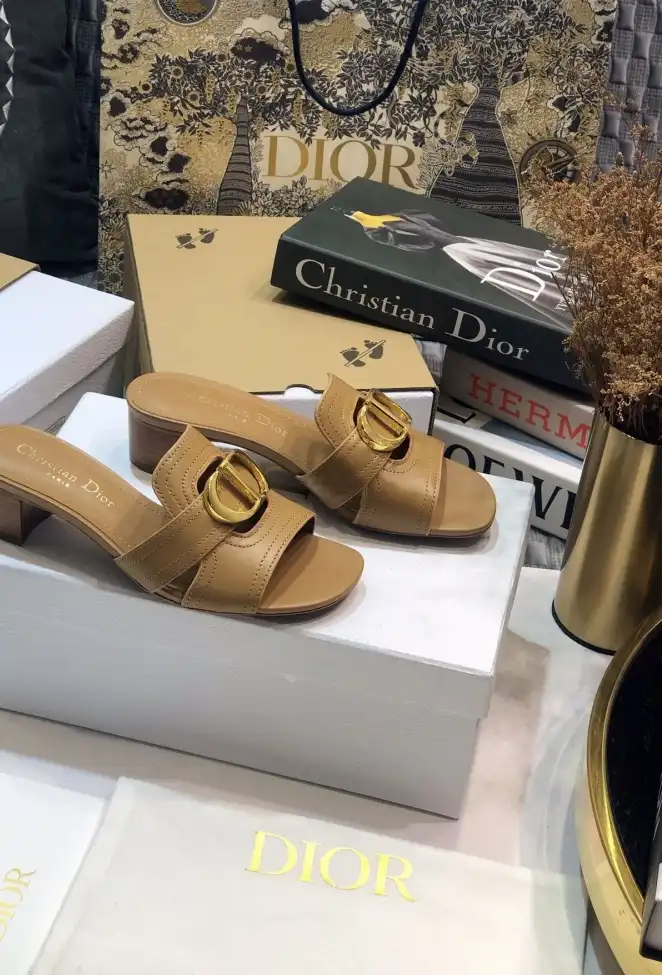 hype Christian Dior Slippers