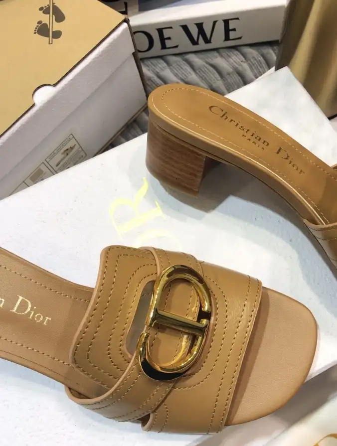 hype Christian Dior Slippers