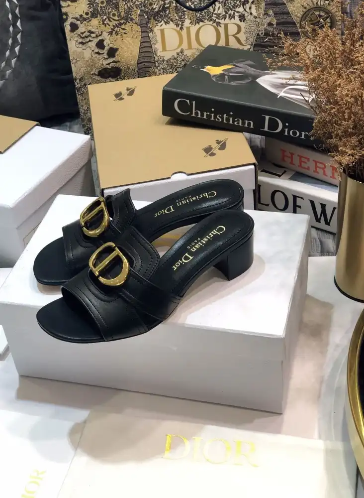 hype Christian Dior Slippers