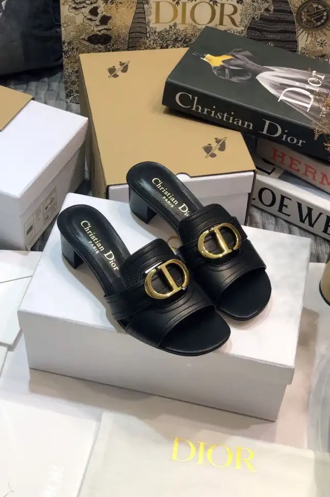 hype Christian Dior Slippers