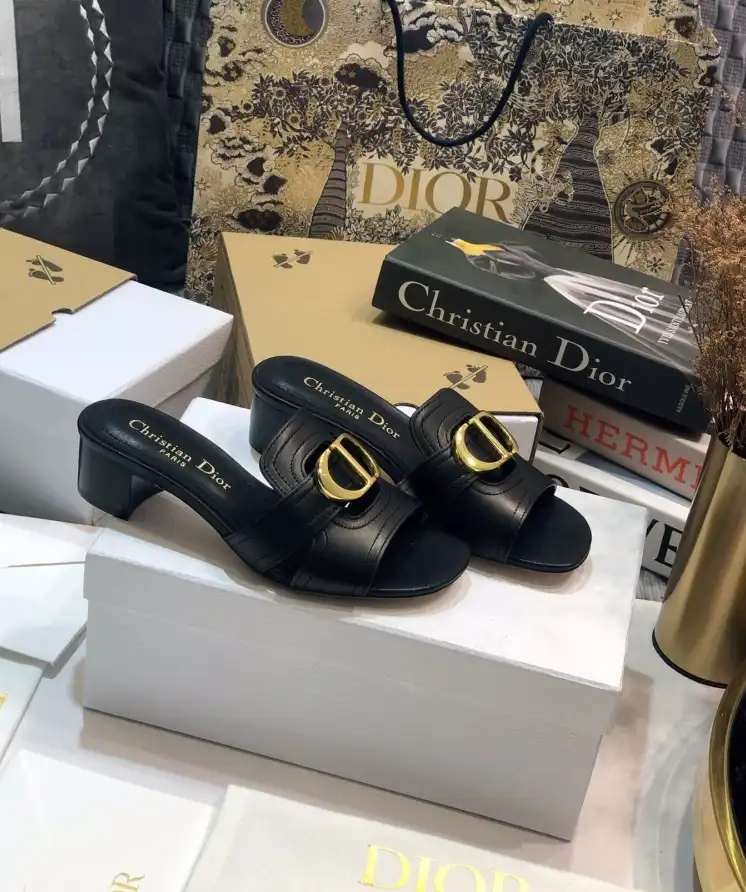 hype Christian Dior Slippers