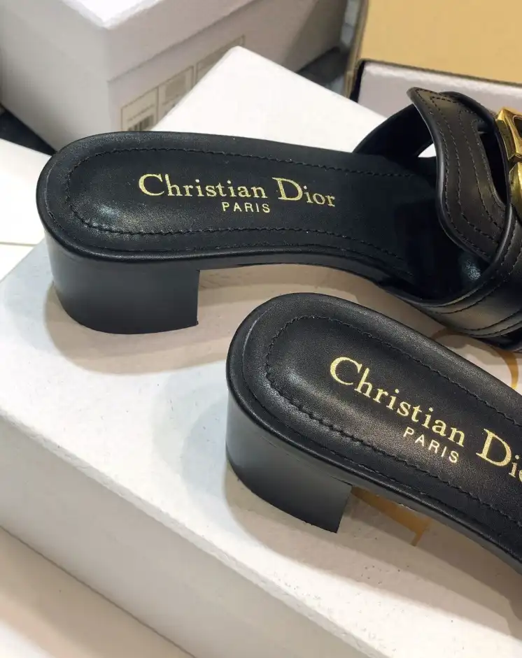 hype Christian Dior Slippers